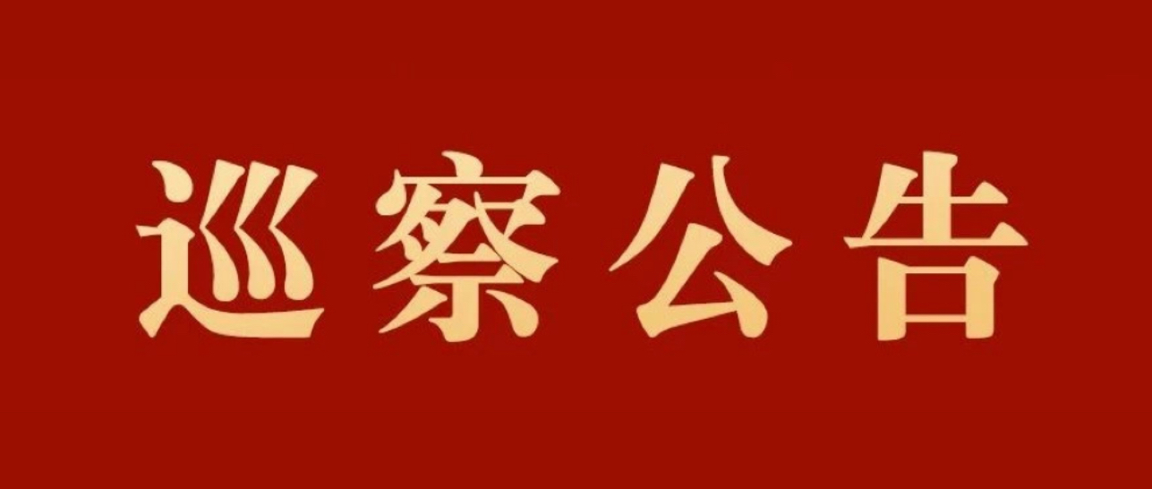 巡 察 公 告